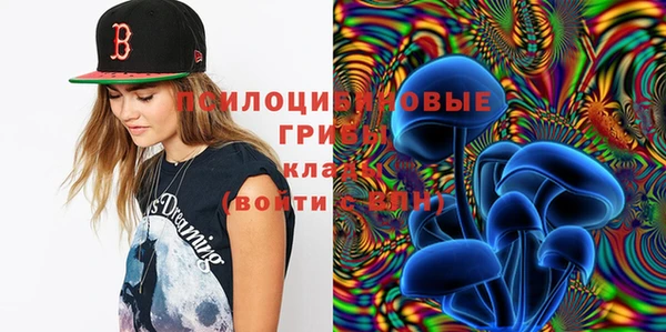 прущие крисы Бородино
