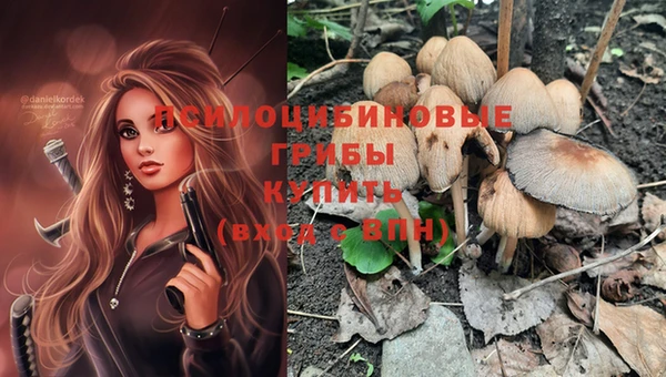 дмт Бронницы