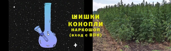 дмт Бронницы
