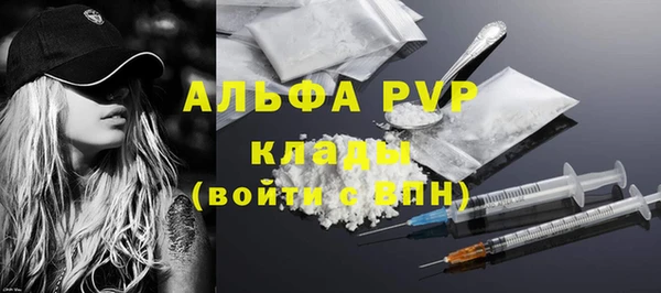 прущие крисы Бородино