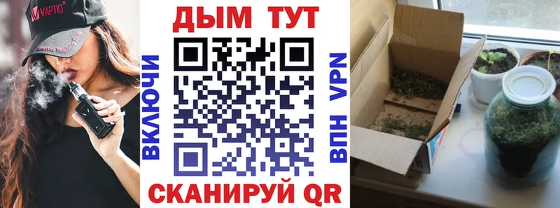 Марихуана Amnesia  купить   Моздок 